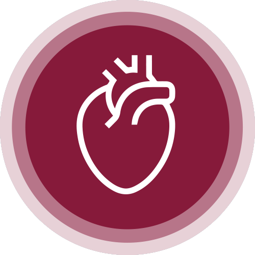 Heart Icon