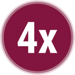4x Icon