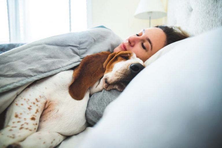 Pros and Cons of Sleeping with Your Dog